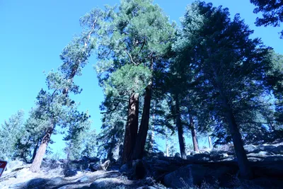 DSC_5043 (Large).JPG